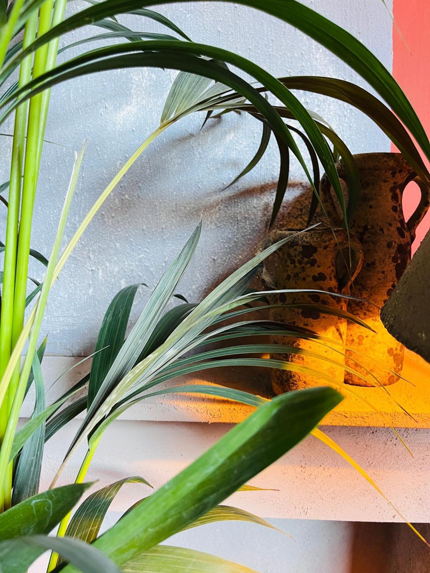 Guesthouse Nights By Morpheus Antwerp Exterior photo